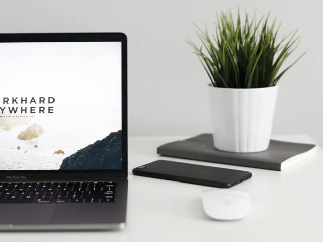portfolio